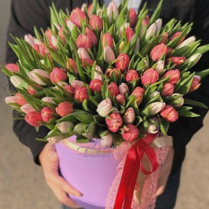 Твоя улыбка Большая коробка тюльпанов