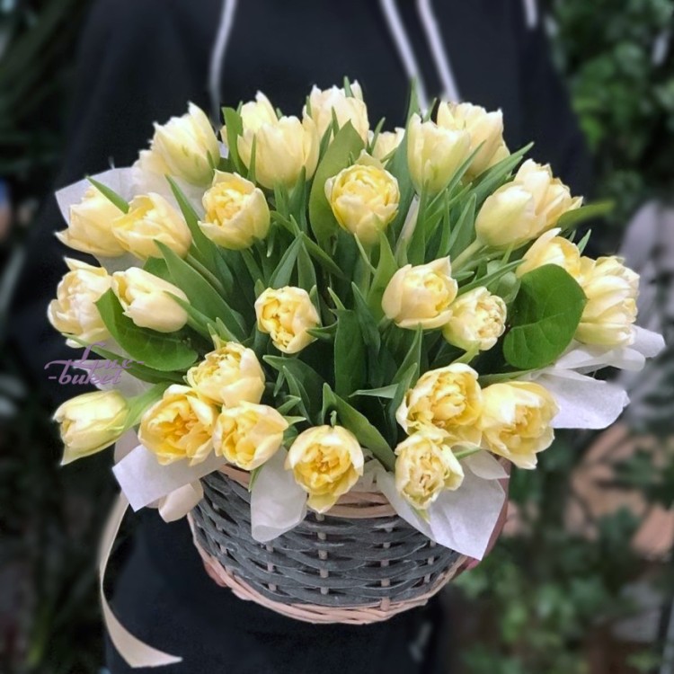 Весенняя сказка №9 Корзина пионовидных тюльпанов с доставкой в Кисловодске