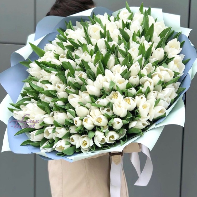 Большой букет белых тюльпанов с доставкой в Кисловодске