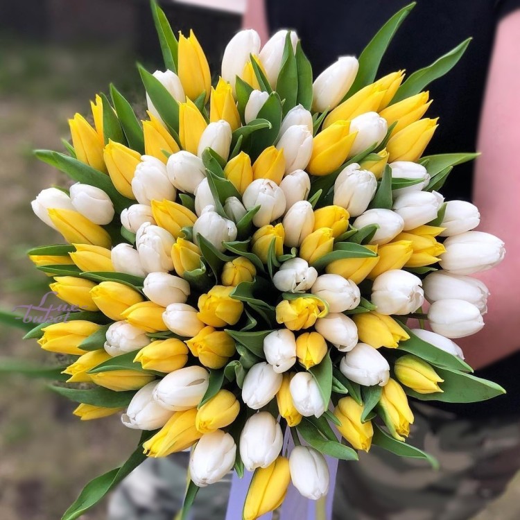 Белое золото Букет тюльпанов с доставкой в Кисловодске