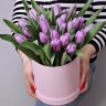 Тюльпаны в коробке Фиолет с доставкой в Кисловодске