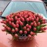 Корзина красных тюльпанов с доставкой в Кисловодске