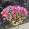 101 тюльпан в корзине с доставкой в Кисловодске