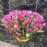 101 тюльпан в корзине с доставкой в Кисловодске