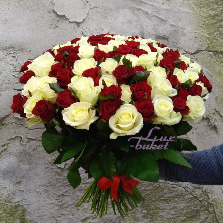 Большой букет красных и белых роз Счастье с доставкой в Кисловодске